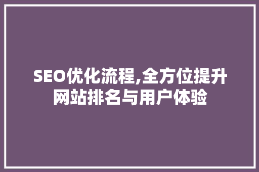 SEO优化流程,全方位提升网站排名与用户体验 SEO关键词