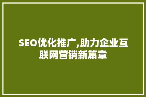 SEO优化推广,助力企业互联网营销新篇章 网站建设公司