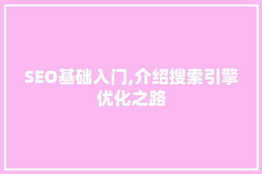 SEO基础入门,介绍搜索引擎优化之路