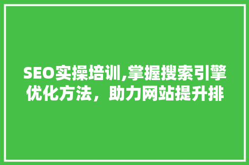 SEO实操培训,掌握搜索引擎优化方法，助力网站提升排名 必应SEO