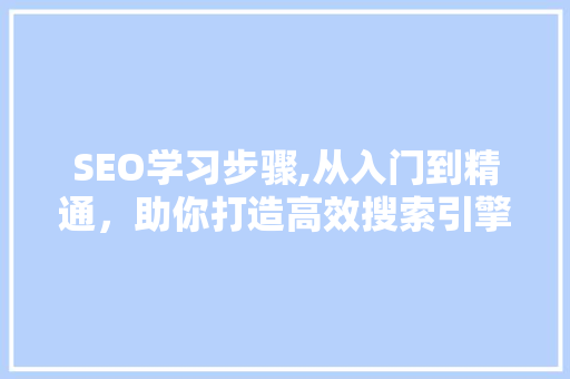 SEO学习步骤,从入门到精通，助你打造高效搜索引擎优化步骤 网站建设公司