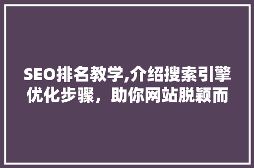 SEO排名教学,介绍搜索引擎优化步骤，助你网站脱颖而出 SEO关键词