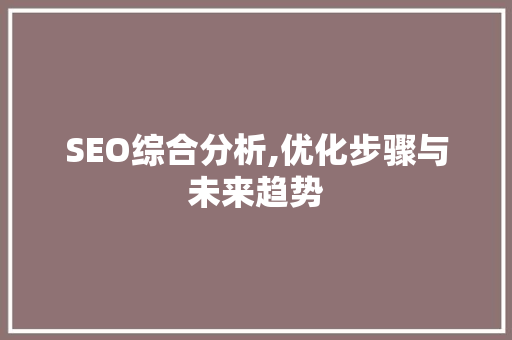 SEO综合分析,优化步骤与未来趋势 网站建设公司