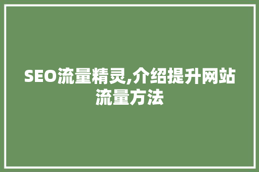 SEO流量精灵,介绍提升网站流量方法 必应SEO