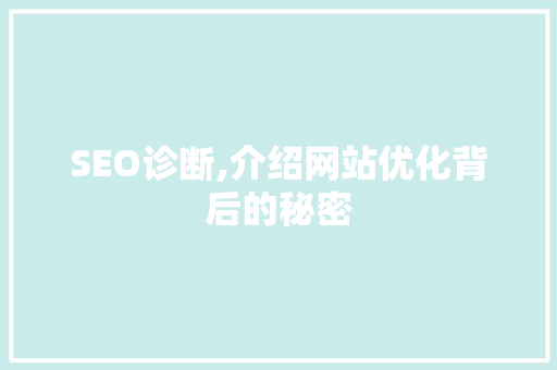 SEO诊断,介绍网站优化背后的秘密 网站建设公司