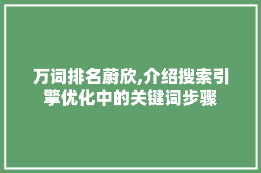 万词排名蔚欣,介绍搜索引擎优化中的关键词步骤 百度SEO