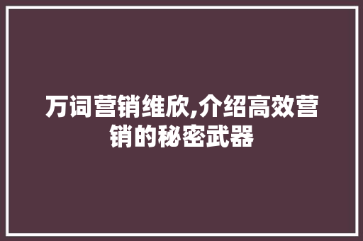 万词营销维欣,介绍高效营销的秘密武器 百度SEO