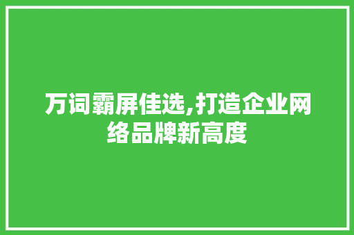 万词霸屏佳选,打造企业网络品牌新高度 必应SEO