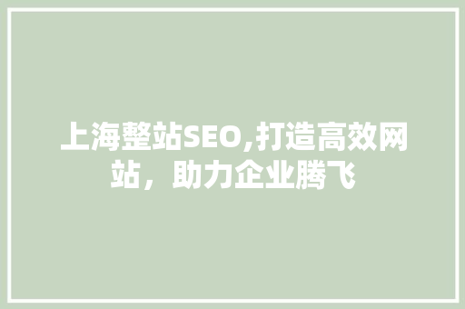 上海整站SEO,打造高效网站，助力企业腾飞 网站建设公司