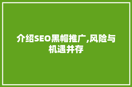介绍SEO黑帽推广,风险与机遇并存 神马SEO