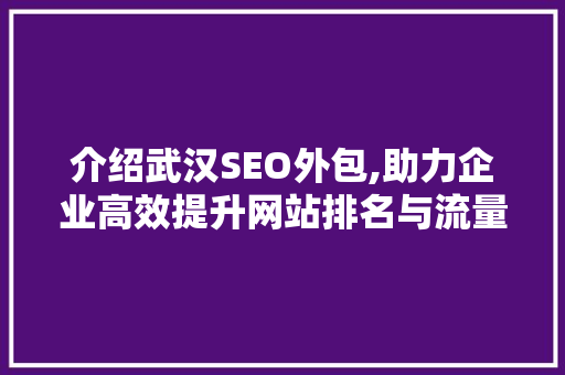 介绍武汉SEO外包,助力企业高效提升网站排名与流量 搜狗SEO