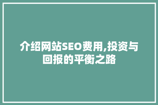 介绍网站SEO费用,投资与回报的平衡之路 神马SEO