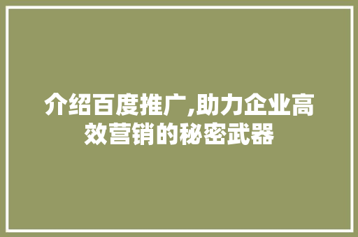 介绍百度推广,助力企业高效营销的秘密武器