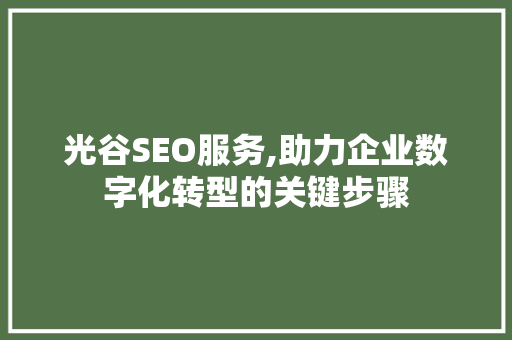 光谷SEO服务,助力企业数字化转型的关键步骤 网站建设公司