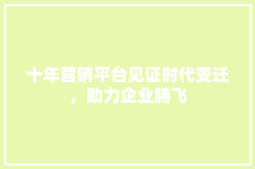 十年营销平台见证时代变迁，助力企业腾飞 网站建设公司