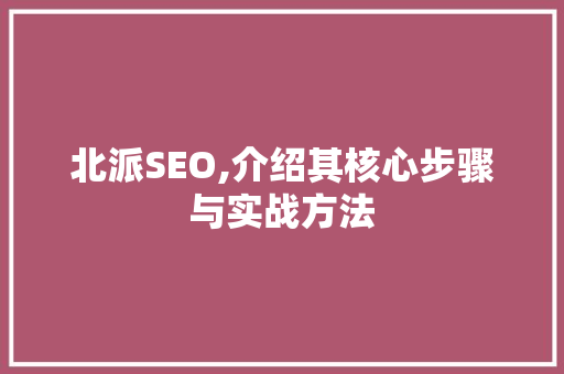北派SEO,介绍其核心步骤与实战方法 百度SEO