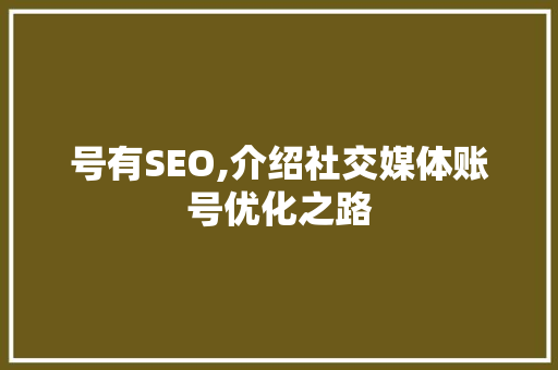 号有SEO,介绍社交媒体账号优化之路 SEO关键词