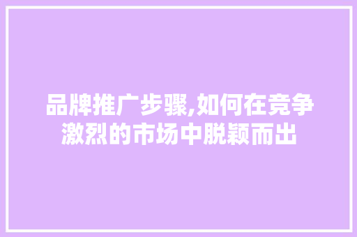 品牌推广步骤,如何在竞争激烈的市场中脱颖而出 必应SEO