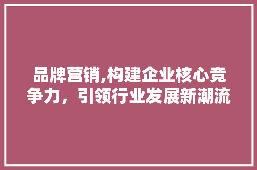 品牌营销,构建企业核心竞争力，引领行业发展新潮流 搜狗SEO