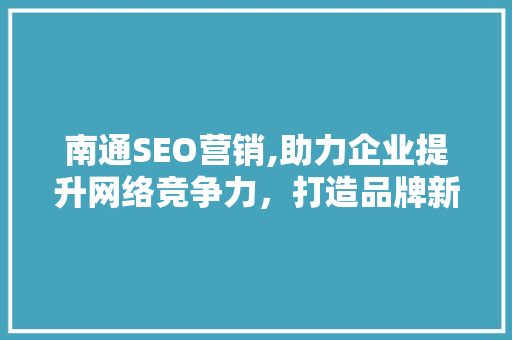 南通SEO营销,助力企业提升网络竞争力，打造品牌新高度 网站建设公司