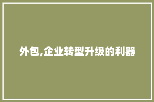 外包,企业转型升级的利器 SEO关键词