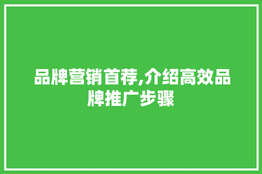 品牌营销首荐,介绍高效品牌推广步骤 必应SEO