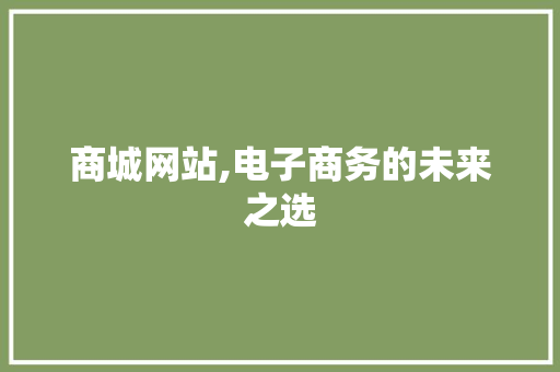 商城网站,电子商务的未来之选 SEO关键词