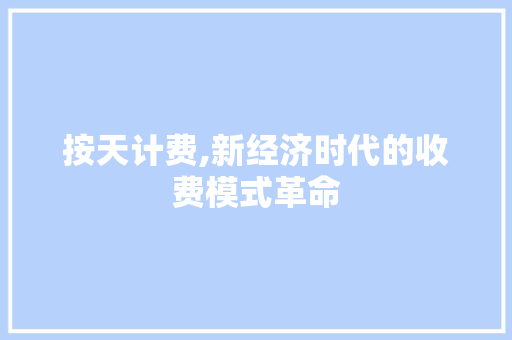 按天计费,新经济时代的收费模式革命 必应SEO