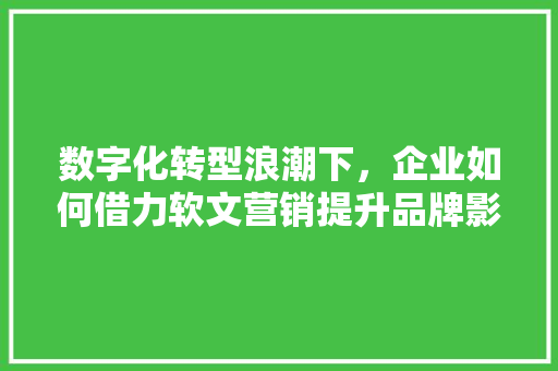 数字化转型浪潮下，企业如何借力软文营销提升品牌影响力 百度SEO