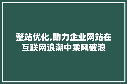 整站优化,助力企业网站在互联网浪潮中乘风破浪 搜狗SEO