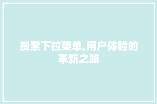 搜索下拉菜单,用户体验的革新之路 必应SEO