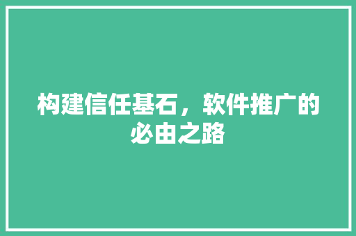 构建信任基石，软件推广的必由之路 必应SEO