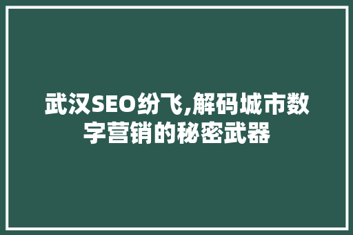 武汉SEO纷飞,解码城市数字营销的秘密武器 神马SEO