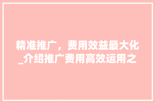 精准推广，费用效益最大化_介绍推广费用高效运用之路 必应SEO
