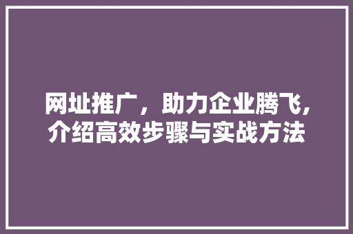 网址推广，助力企业腾飞,介绍高效步骤与实战方法 百度SEO