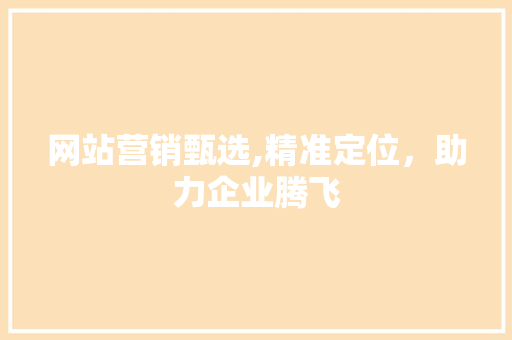 网站营销甄选,精准定位，助力企业腾飞 SEO关键词