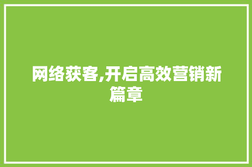 网络获客,开启高效营销新篇章 必应SEO
