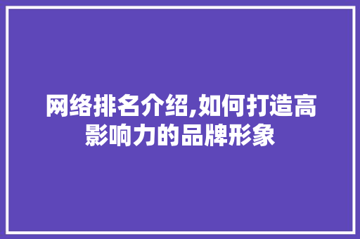 网络排名介绍,如何打造高影响力的品牌形象 SEO关键词