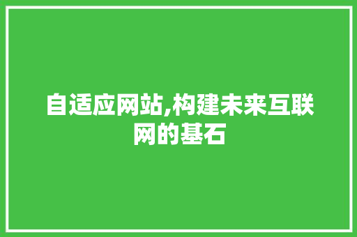 自适应网站,构建未来互联网的基石 百度SEO