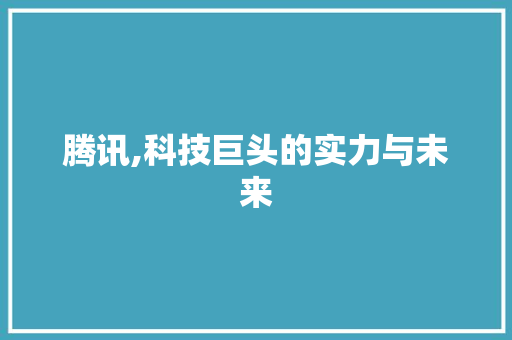 腾讯,科技巨头的实力与未来 网站建设公司