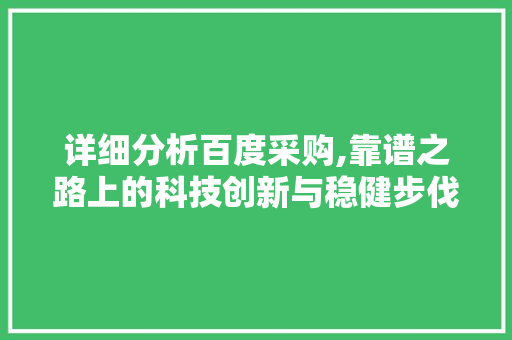详细分析百度采购,靠谱之路上的科技创新与稳健步伐 百度SEO