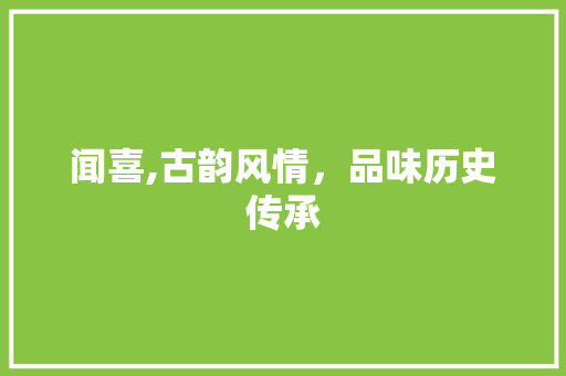 闻喜,古韵风情，品味历史传承 必应SEO