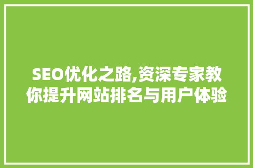 SEO优化之路,资深专家教你提升网站排名与用户体验