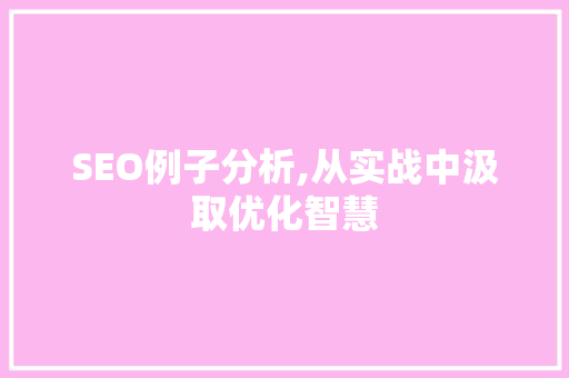 SEO例子分析,从实战中汲取优化智慧 必应SEO