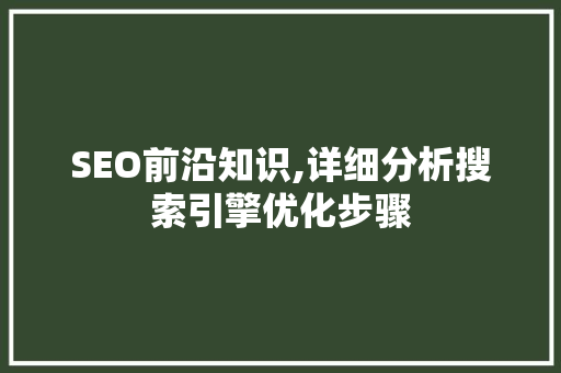 SEO前沿知识,详细分析搜索引擎优化步骤 百度SEO