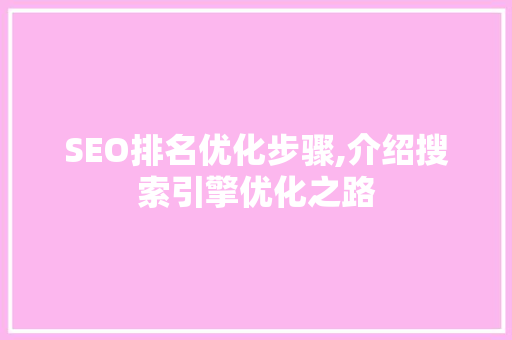 SEO排名优化步骤,介绍搜索引擎优化之路