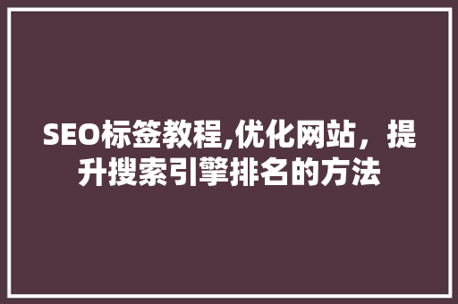 SEO标签教程,优化网站，提升搜索引擎排名的方法 百度SEO