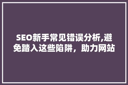 SEO新手常见错误分析,避免踏入这些陷阱，助力网站优化成功 搜狗SEO