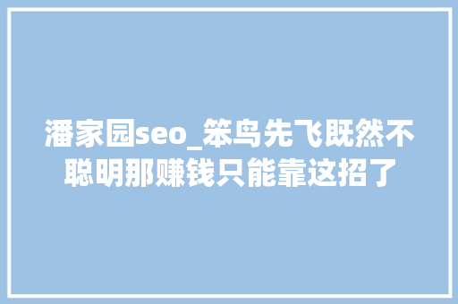 潘家园seo_笨鸟先飞既然不聪明那赚钱只能靠这招了 潘家园seo_笨鸟先飞既然不聪明那赚钱只能靠这招了 网站建设公司