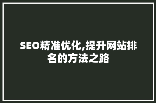 SEO精准优化,提升网站排名的方法之路 SEO关键词